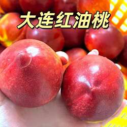 大连油桃黄油桃芒果桃黄金密桃新鲜水果油桃麻脸油桃脆甜黄油蟠桃