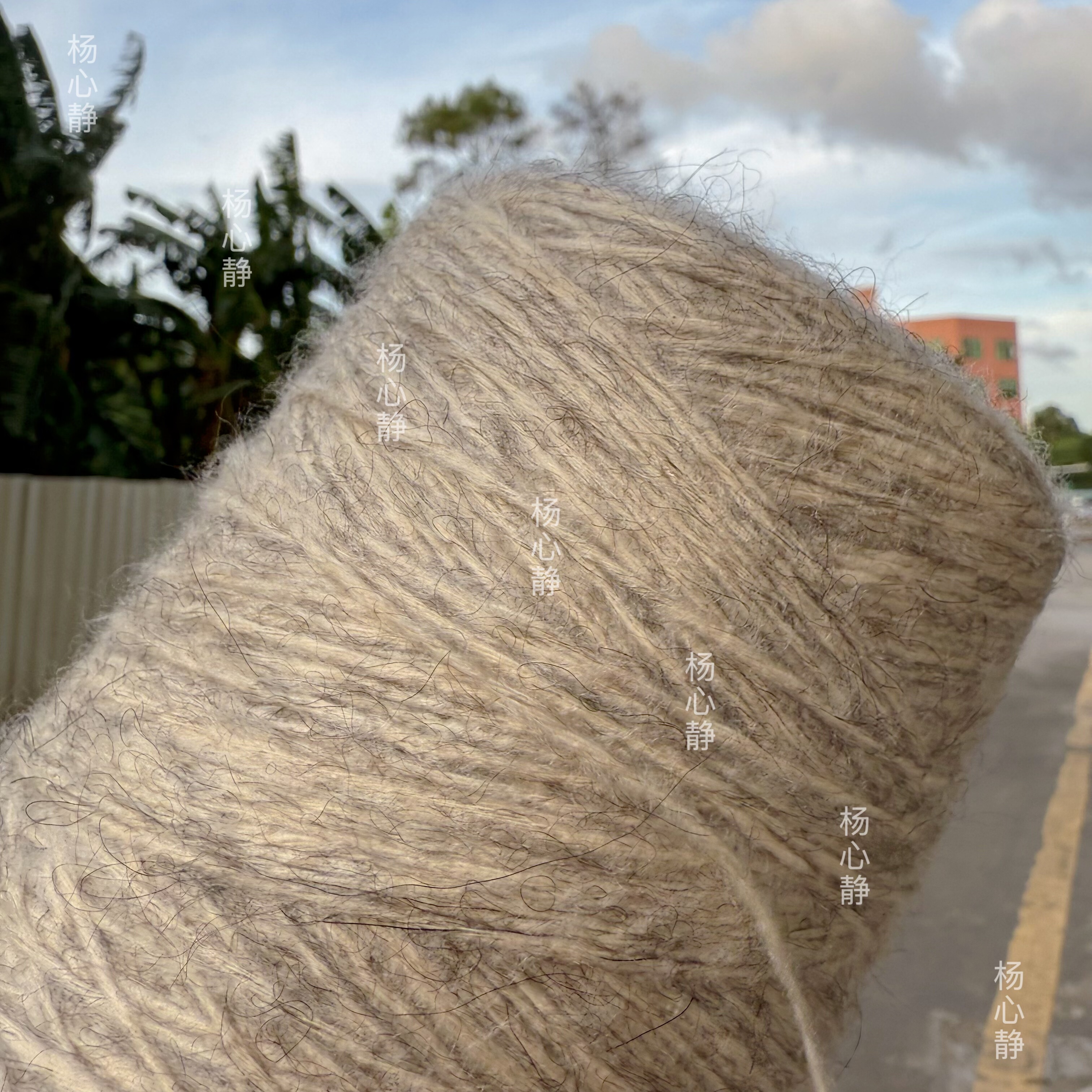 标价500g的价格 高品质棉蕾丝羊毛马海 55%棉10%羊毛柔软围巾包邮