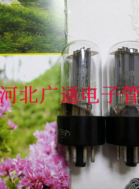 超值6SN7/全新俄罗斯 6H8C/6SN7/6N8P/CV181电子管  苏联毒声