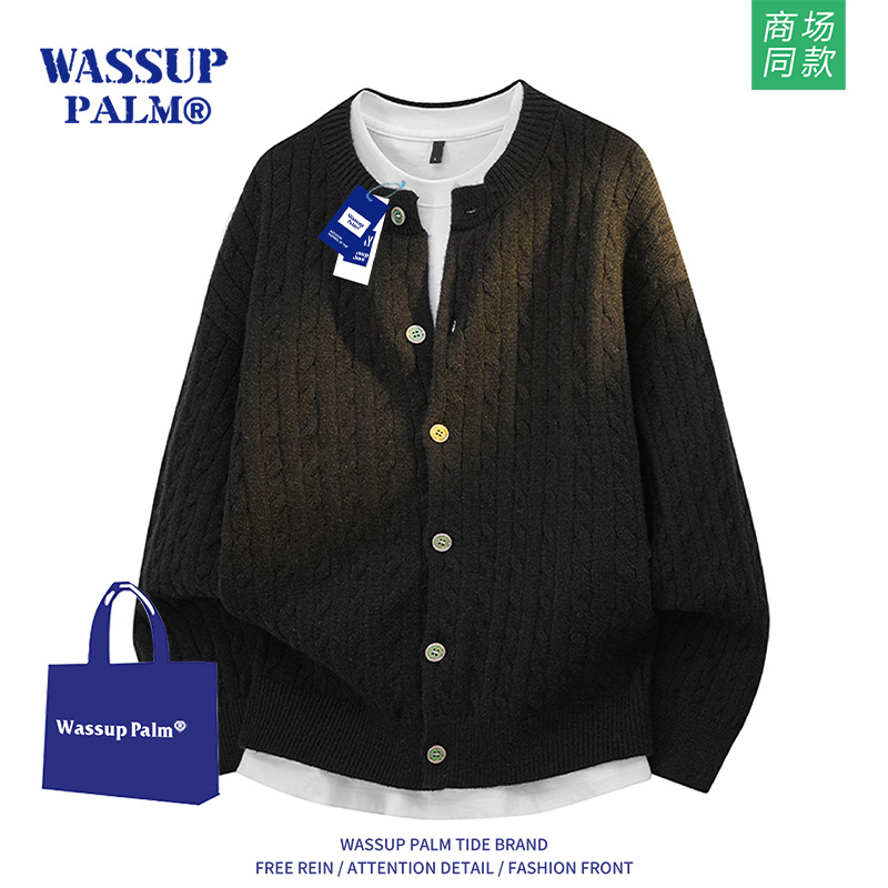 WASSUPPALM毛衣男款2025新款秋
