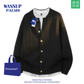 PALM毛衣男款 2025新款 秋冬季 WASSUP 纯色简约休闲百搭保暖针织衫