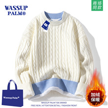 WASSUP PALM毛衣男款2025新款秋冬季美式宽松加绒加厚保暖针织衫
