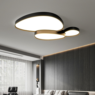 2025年新款客厅吸顶灯简约现代大气家用极简主灯大厅灯具创意客厅