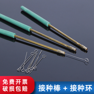 镍铬接种环接种棒 实验室微生物细胞接种针10ul微升金属接种棒铜棒镍铬丝合金接种环全铜接种棒塑料柄接种丝