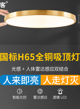 全铜感应灯人体感应过道走廊玄关楼梯入户门口雷达自动智能吸顶灯