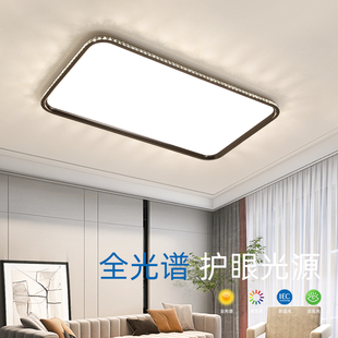 极简轻奢高级感水晶设计师大厅卧室灯具 客厅吸顶灯轻奢高级感意式