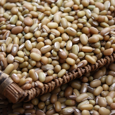 绿竹豆  大竹豆 爬豆饭 豆眉 豆米 五谷杂粮