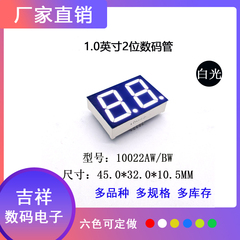 1英寸2位10022共阴共阳白光led数码管高品质专柜热卖支持定制
