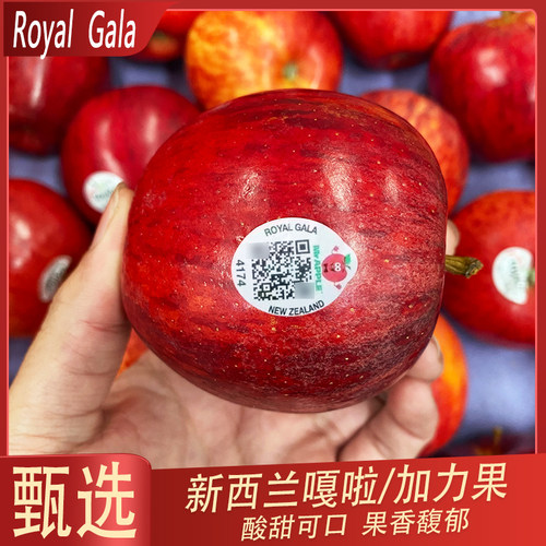 进口嘎啦果加力gala红玫瑰新鲜