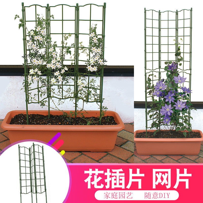 网格爬藤架月季牵牛花铁线莲花卉支撑架植物爬架架落地式花架庭院