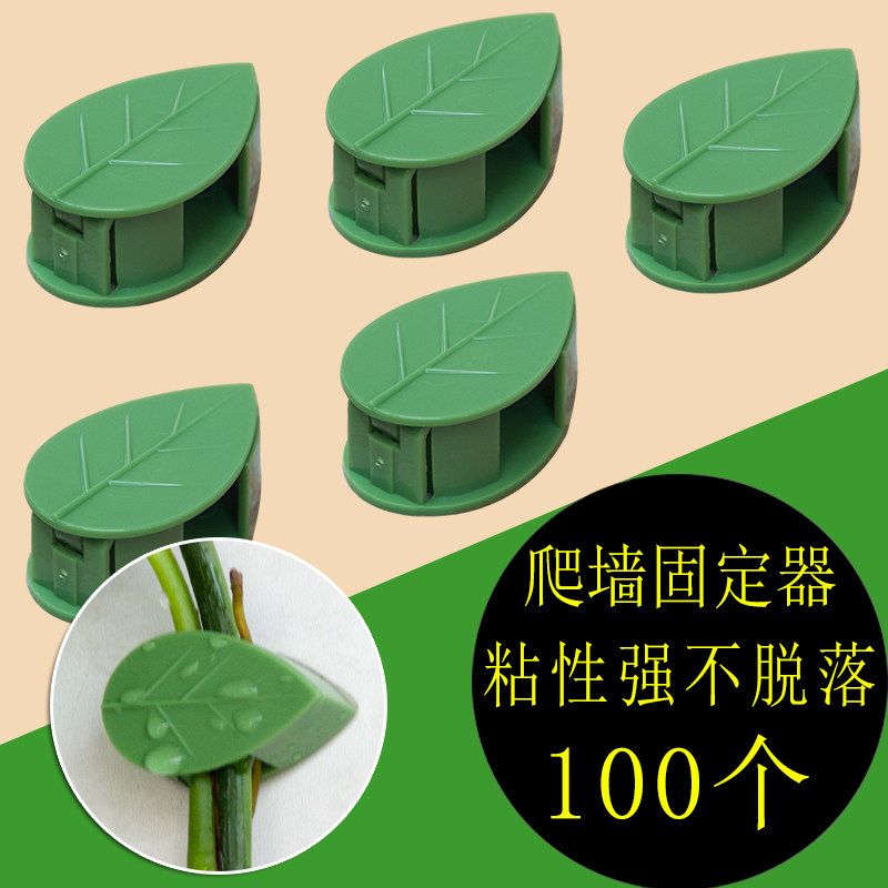 绿萝夹子爬藤植物藤蔓固定夹花卉上墙面吸盘神器绿植牵引爬墙卡扣