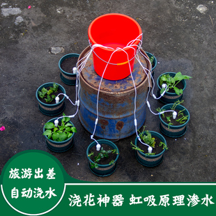 花园浇花自动浇水器家用阳台养花盆栽种菜渗水器懒人滴水器