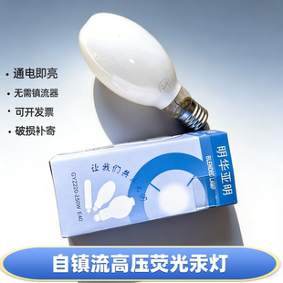 明华亚明高压荧光汞灯通电即亮无需镇流器节能灯250W幼虫灯补虫