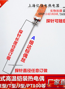 带插头K型铠装热电偶探针式WRNK-191/187热电偶/J/T型PT100热电阻