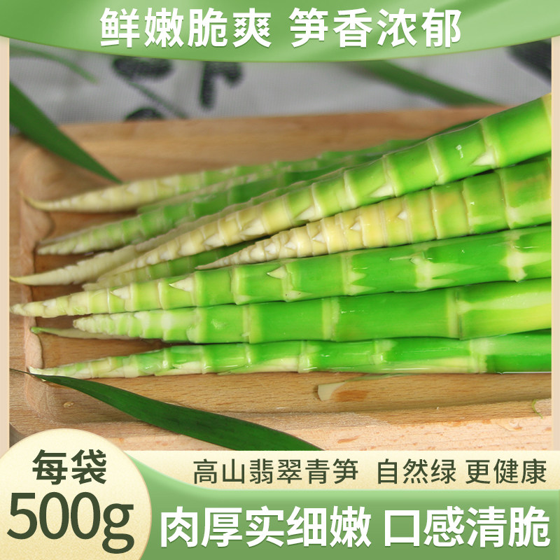 武当竹湖北野生竹笋小鲜笋500g袋装 新鲜春笋火锅笋十堰特产笋