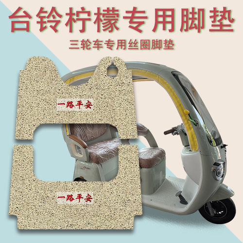 适用台铃柠檬电动三轮车脚垫TL1200DZK-10K防滑厚丝圈脚踩踏板垫