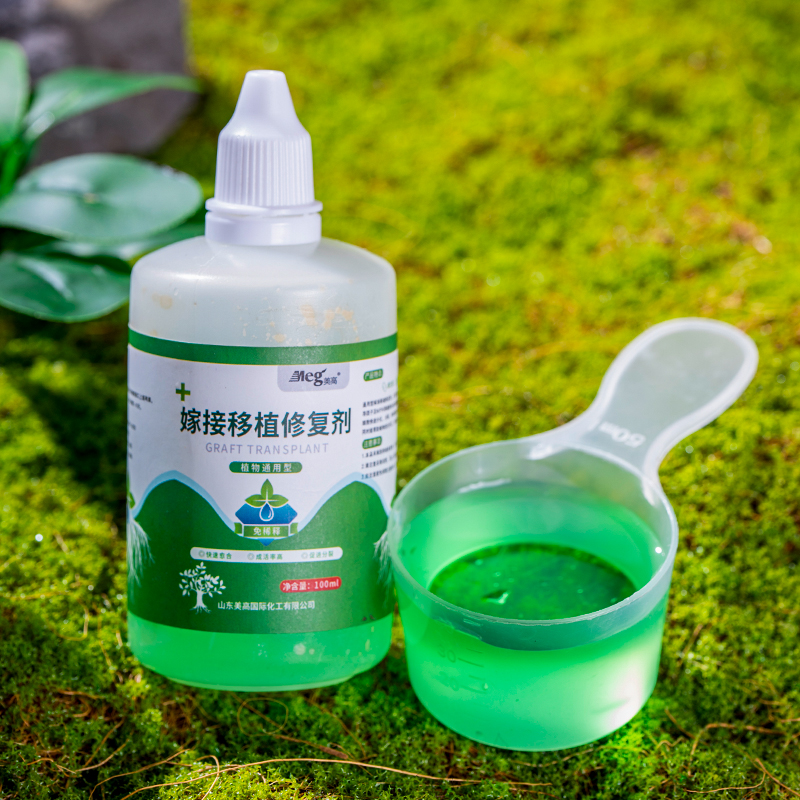 剪枝伤口愈合剂花木树枝果树保护漆嫁接促活液兰花植物快干型高效