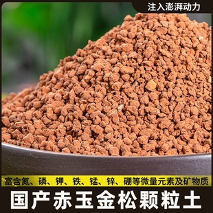空城里金松土赤玉土苔藓微景观种植土营养土丹麦品氏泥炭土专用土