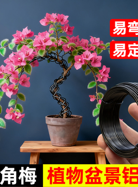 三角梅专用盆景造型铝丝铝线盘扎铝丝线蟠扎园艺铁丝花卉定型吕丝