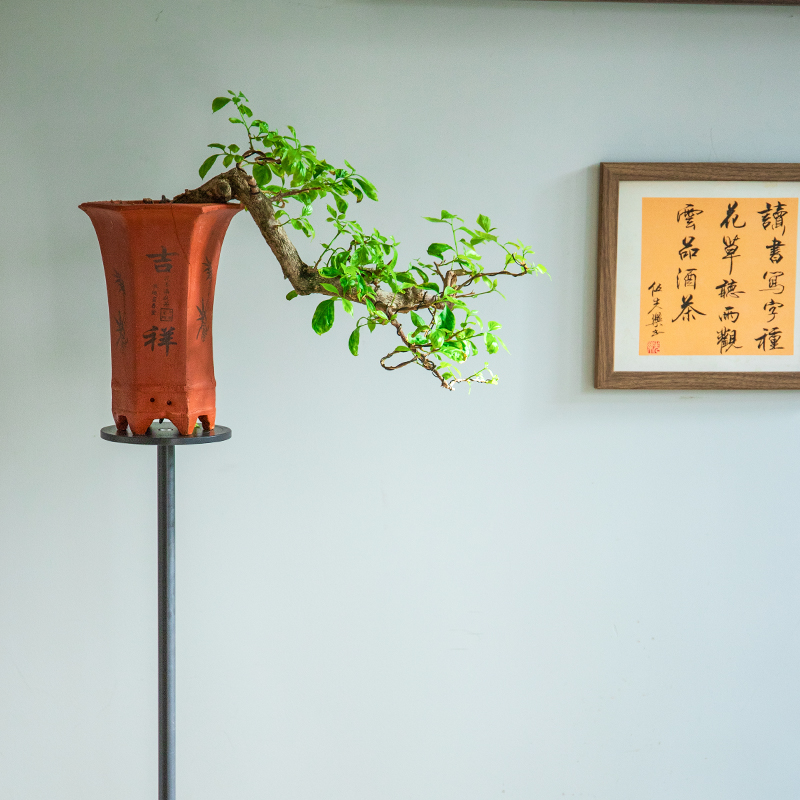 加强钢回纹花几中式古典盆景园林景观盆艺盆栽室内户外阳台花架子