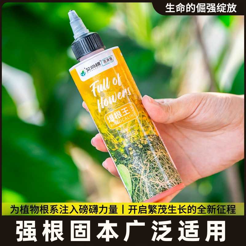 爆生根原液强力快速生根壮苗剂移栽扦插植物通用水溶肥生根营养液