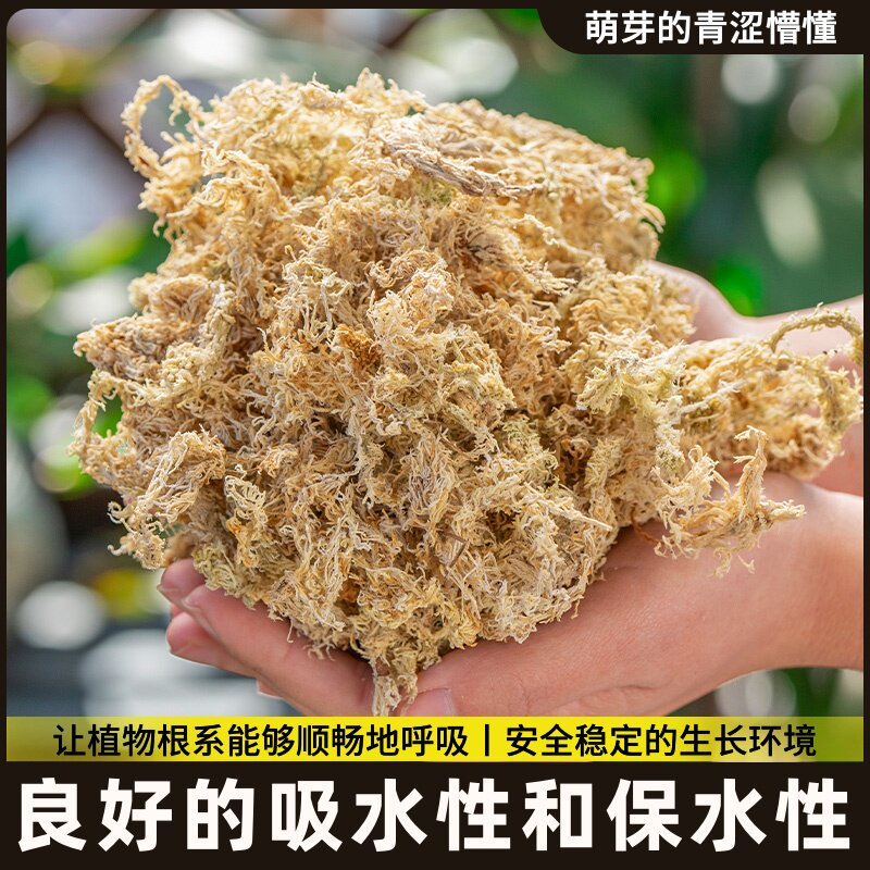蝴蝶兰食虫草专用毛毛虫干草水苔透气保湿栽培基质专用环保天然苔