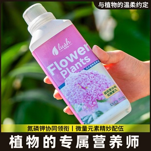 大树生根液枯树再生复活液树木移栽壮苗剂植物通用型营养液激活液