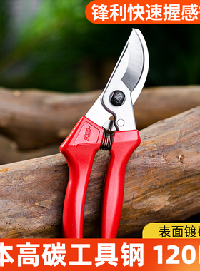 日本爱丽斯原装ARS爱丽丝120EU修枝剪花剪枝剪果树剪120DX剪刀