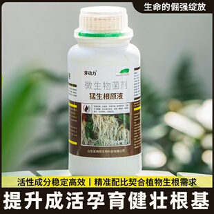 大树复活液死树成活生根药水枯树再生液强力壮苗猛生根营养液专业