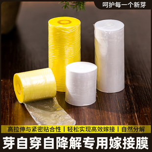 金弹纸自降解膜 专门膜薄膜免解纸嫁接带可包芽点自粘免拆月季