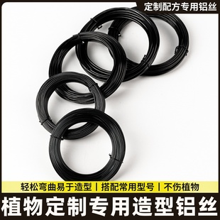 绑扎三角梅绿植造型铝丝盆景专用吕丝压枝固定线植物铝线绑花铁丝