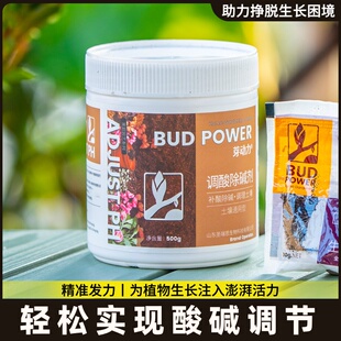 柠檬酸花卉专用肥料硫酸亚铁伴侣杜鹃酸性植物通用型土壤调酸剂补
