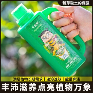 大树生根液枯树再生复活液树木移栽壮苗剂植物通用型营养液激活液