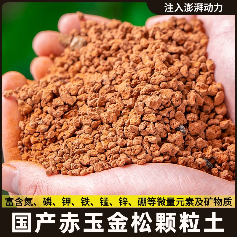 赤玉土轻石水陆缸造景材料雨林缸微景观造景材料套餐干水苔苔藓土