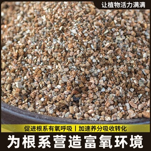蛭石铺面扦插颗粒专用土珍珠岩养花发根育苗用的大颗粒多肉营养土