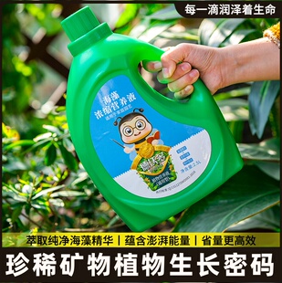 龙血树龙须树专用肥料营养液盆栽植物室内绿植养花肥通用氮磷钾肥