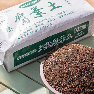 真正东北橡树叶营养土松叶腐殖土腐叶兰花君子兰专用橡叶种植酸性