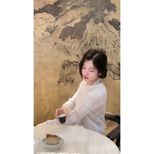 薄款 微透长袖 上衣 设计感小众高领荷叶边打底衫 N.COU妮蔻25冬新款