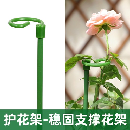 盆栽植物固定防倒伏花架