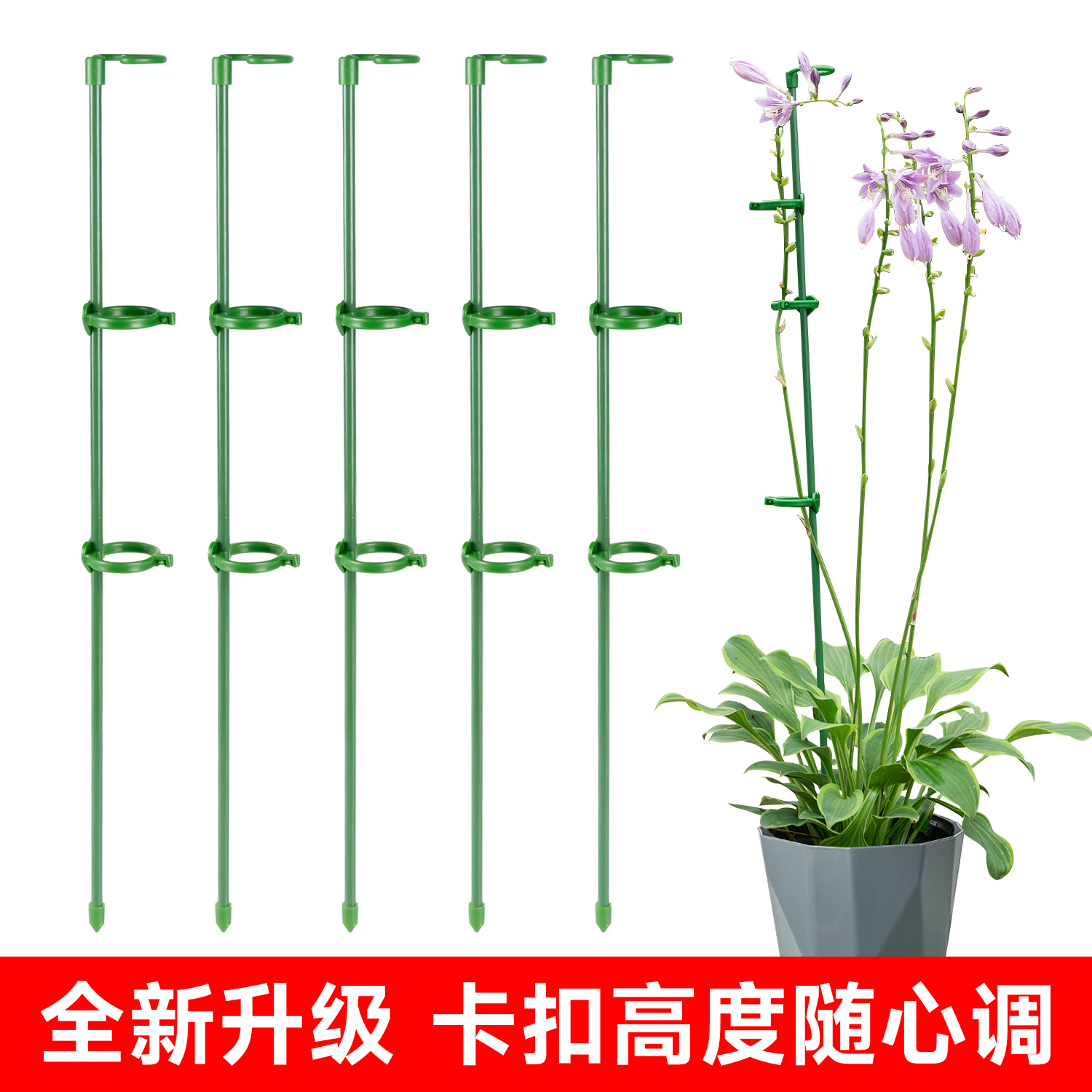 植物防倒伏神器爬藤花支架