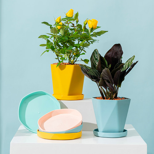 北欧简约塑料创意花盆