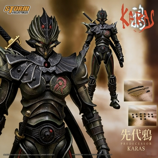 KARAS 鸦 Storm TSKW02 先代鸦 成品可动人偶手办模型 Toys