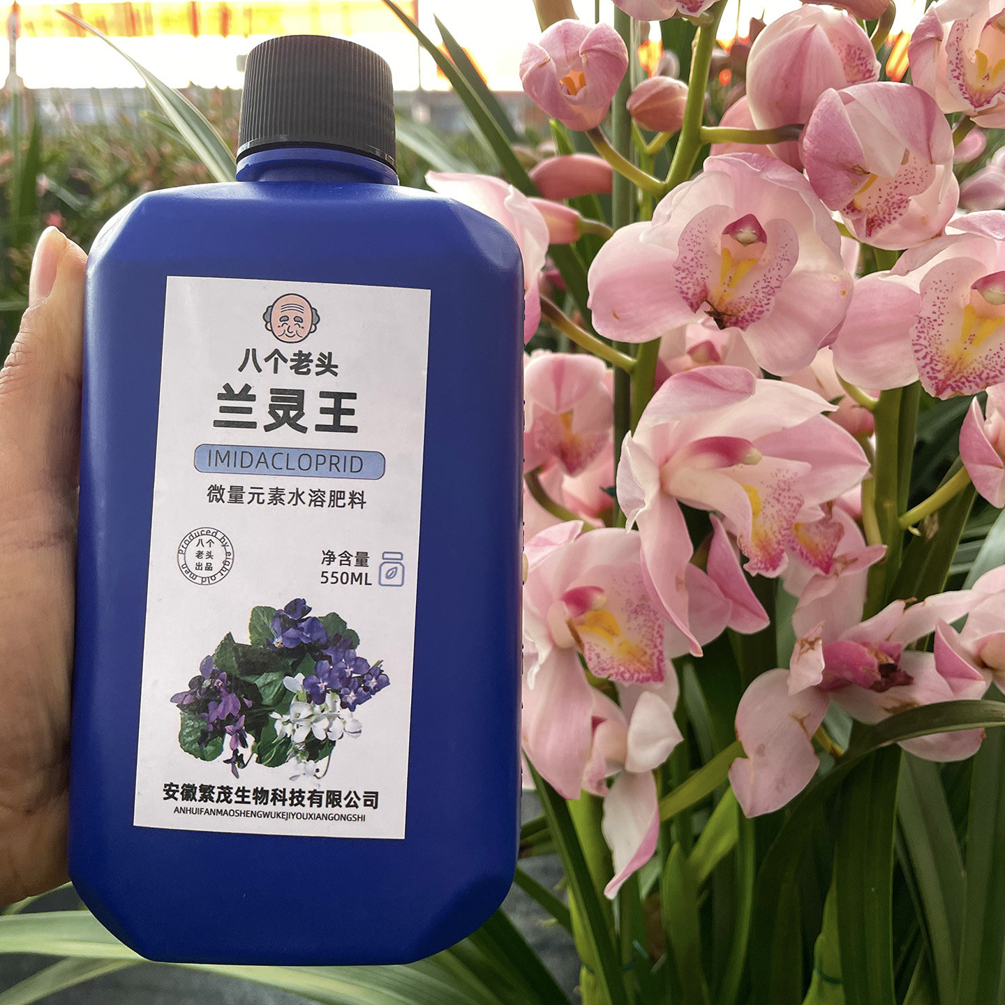 兰灵王蝴蝶兰大花穗兰文心兰土培营养液喷施专用营养液促花剑花开,鲜花速递/花卉仿真/绿植园艺,家庭园艺肥料,淘宝优惠券,粉丝福利购,淘宝优惠卷