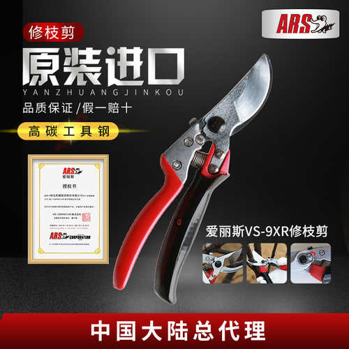 爱丽斯修枝剪园艺剪刀果树
