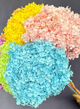 永生花安娜绣球花干花整枝带杆花束贝拉安娜大叶绣球花束基地红色