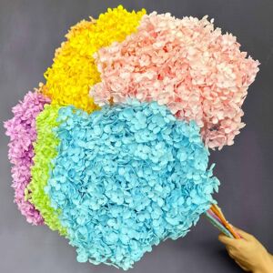 永生花安娜绣球花干花整枝带杆