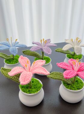 手工编织成品火星兰仿真花摆件