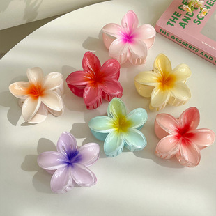 撞进海风里蜜桃粉色亚克力鸡蛋花抓夹发夹盘发花朵抓夹高级感发饰