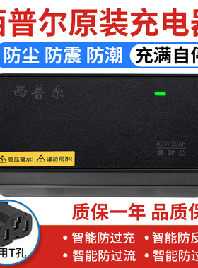 西普尔电动车充电器铅酸电瓶爱玛48台铃60v20ah雅迪72v32小刀三轮