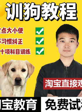 训狗教程零基础训犬视频教程训宠物狗神器训犬师狗狗训练视频课程